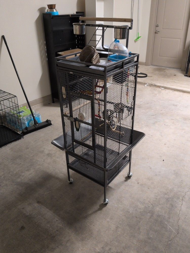 Bird cage (Everything Included)