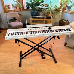 Alesia Recital 88 Key Piano/keyboard Plus Stand And Pedal