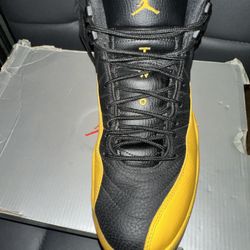 Jordan 12s 