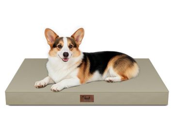 Large Outdoor Dog bed