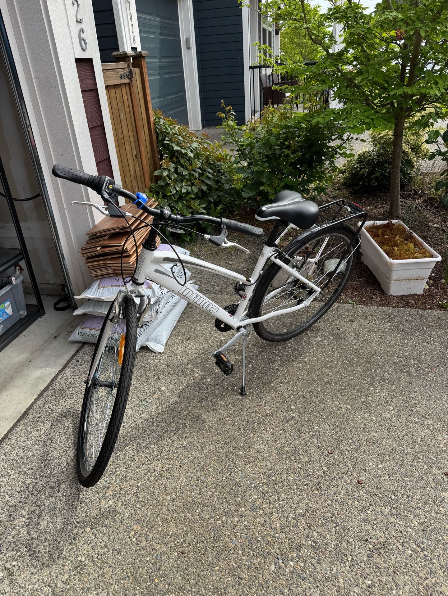 Infinity Adult Cruiser Bike
