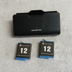 GoPro Hero 12 Batteries w/Charger 