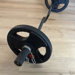 Olympic bar and rubber plates