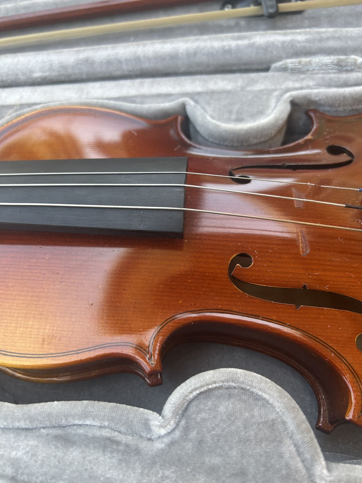 Violin