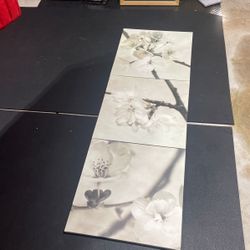 All three pictures of white cherry blossoms for $15