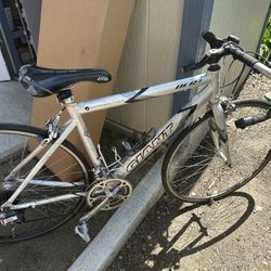 Giant Bike