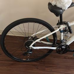 Salsa Bike 