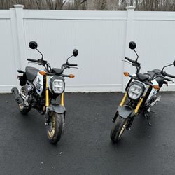 2 2023 Honda Grom ABS Bikes