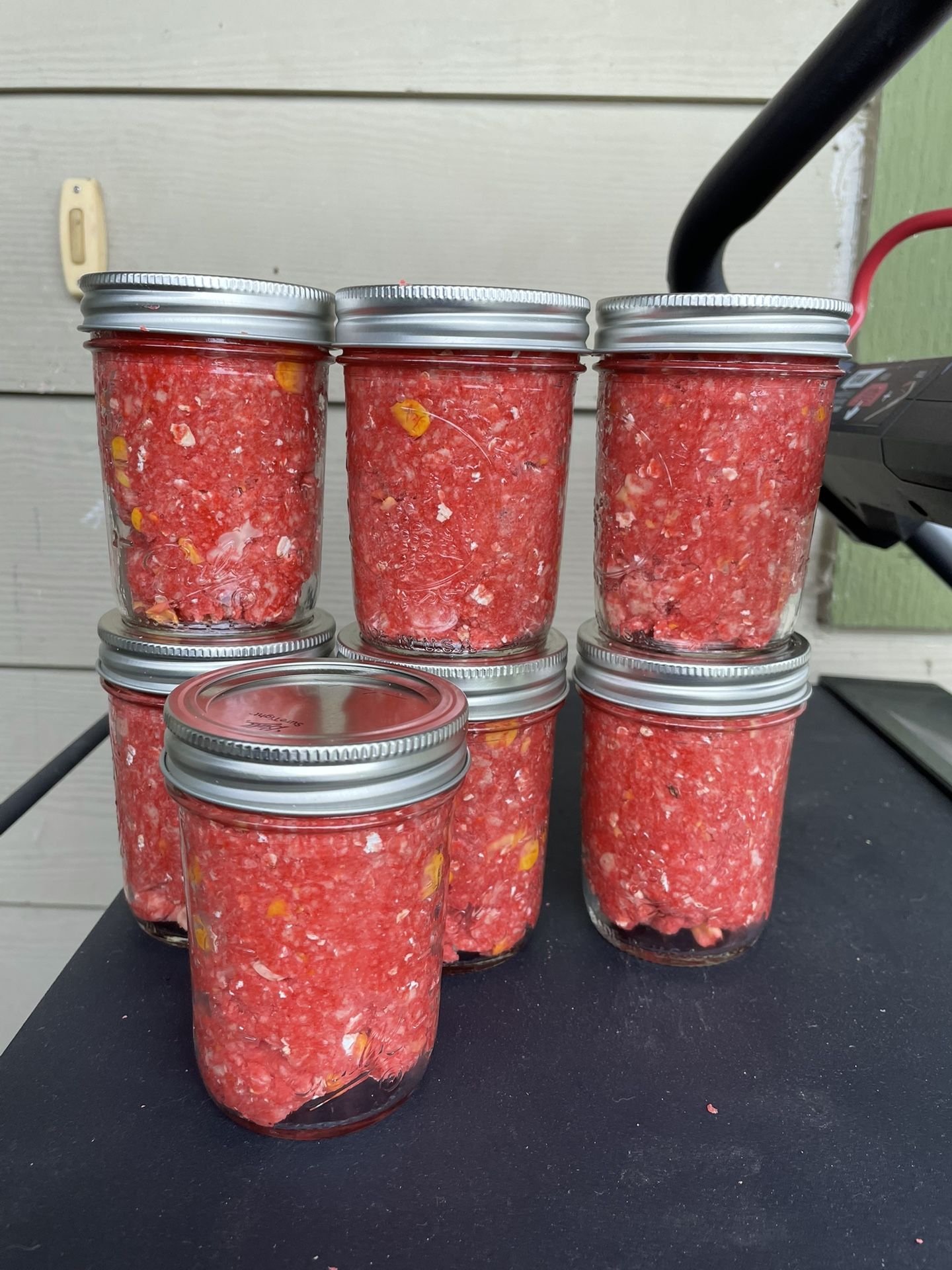 Carp Bait Fishing