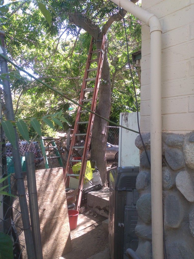 LADDER 