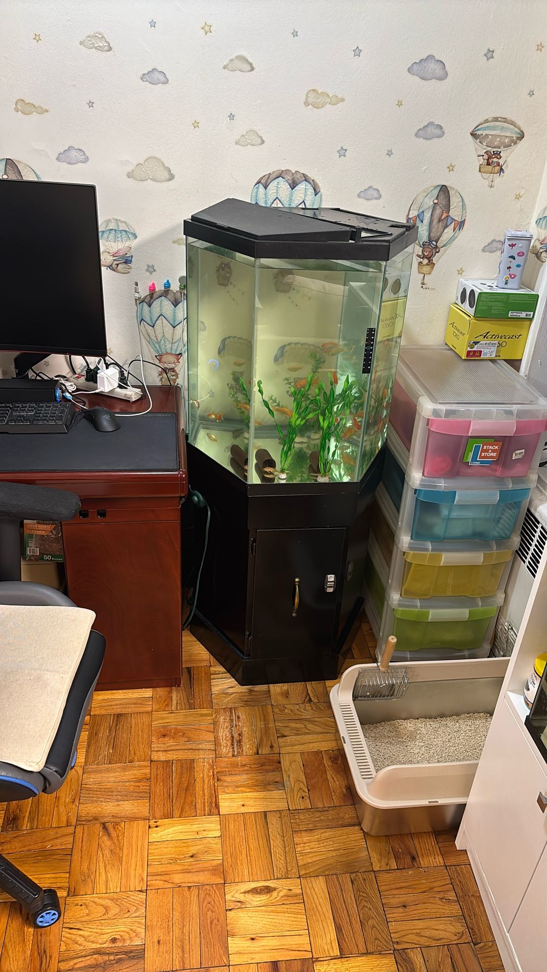 Fish Tank