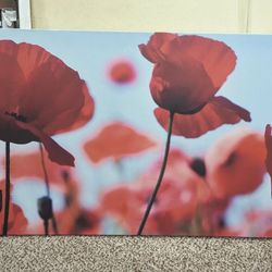 Painting Poppies 