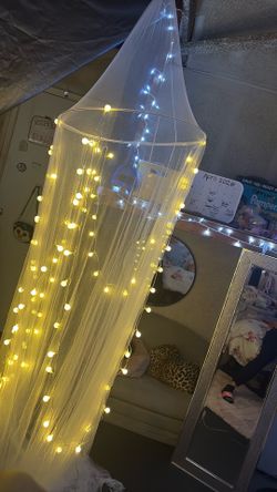 Bed canopy with adjustable lights