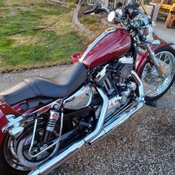 2004 Harley Davidson Sportster 1200 custom