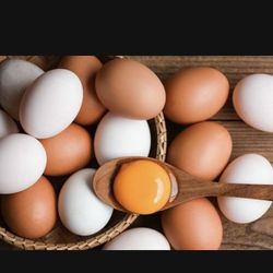 Fresh Eggs 