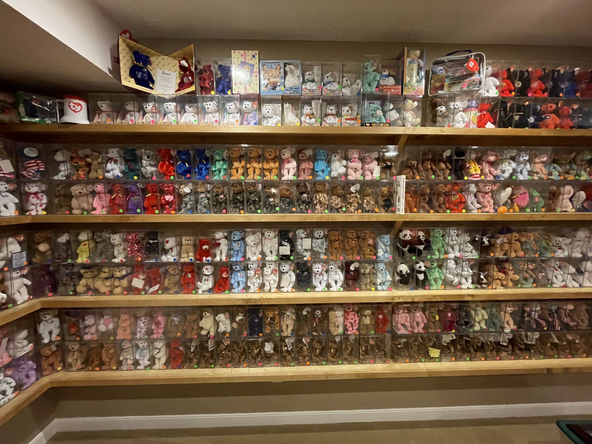World’s Largest Private Beanie Baby Collection for Sale in Aurora, OH