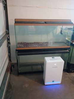 55 gallon tanks