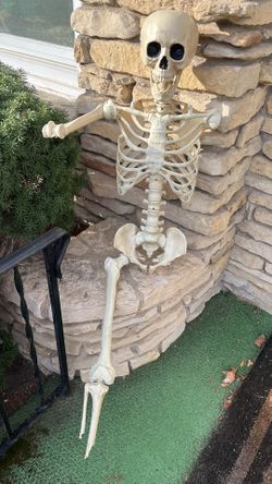 Rare Skeleton