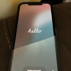 iPhone 12 Pro Max With Case