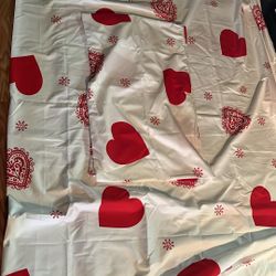 Comforter & Pillow Cases twin new/ No Stuffing