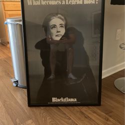 Large Framed Picture