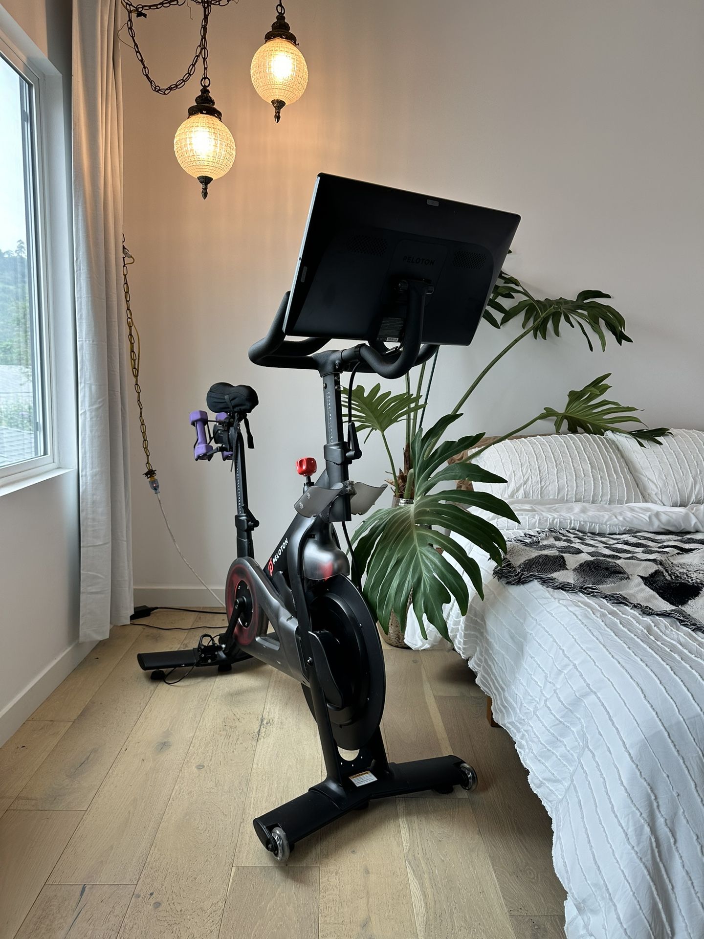 Peloton Bike