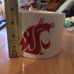 Washington State Cougar Container Bowl Flower Pot 