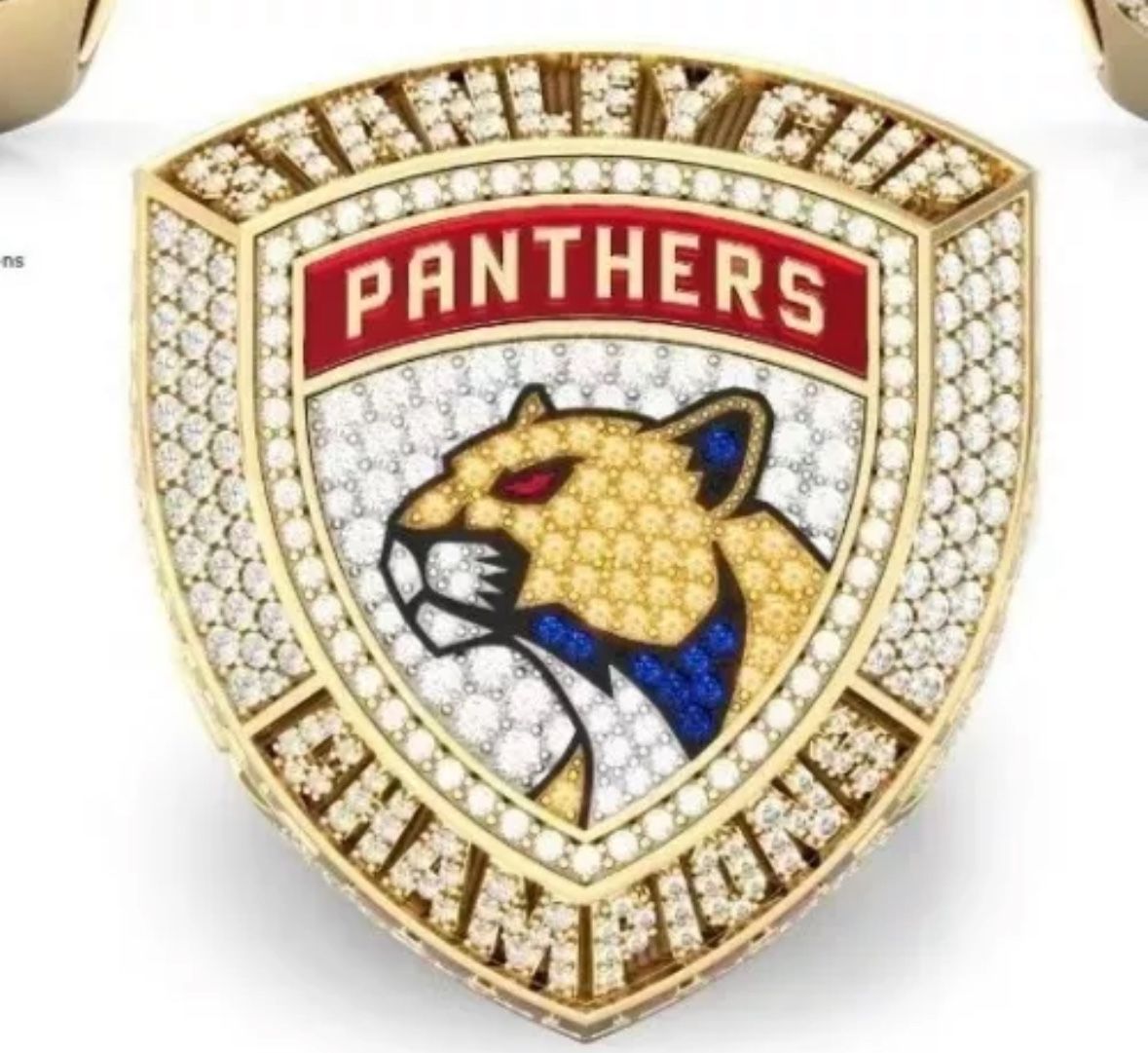 2024 (First Championship Win) For FL PANTHERS Fan Gift Size