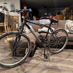 Mountain Bike – needs a little work – Cheap – Rides