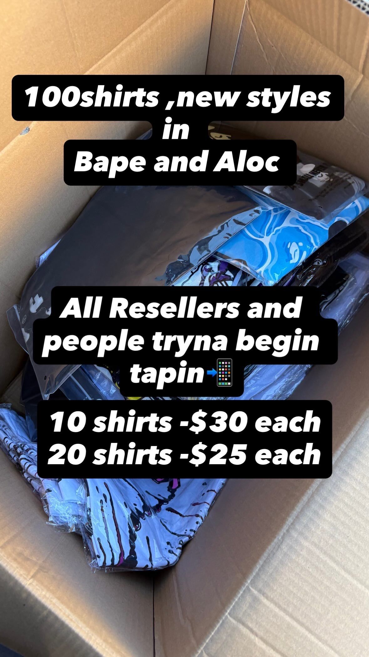 Bape And Aloc