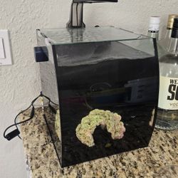 5 Gallon Tank
