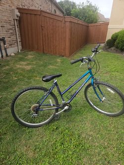Trek mountain bike