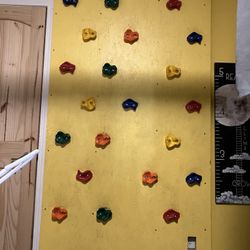 4 x 8 Climbing Wall Panel 