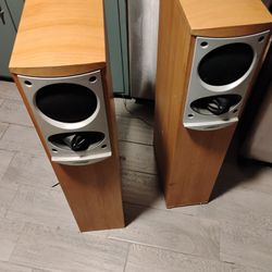 Bose Floor Speakers