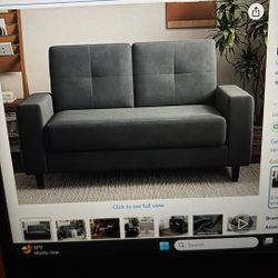 Loveseat Sofa/sofa