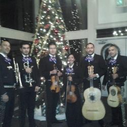 Mariachi Mariachis Group 