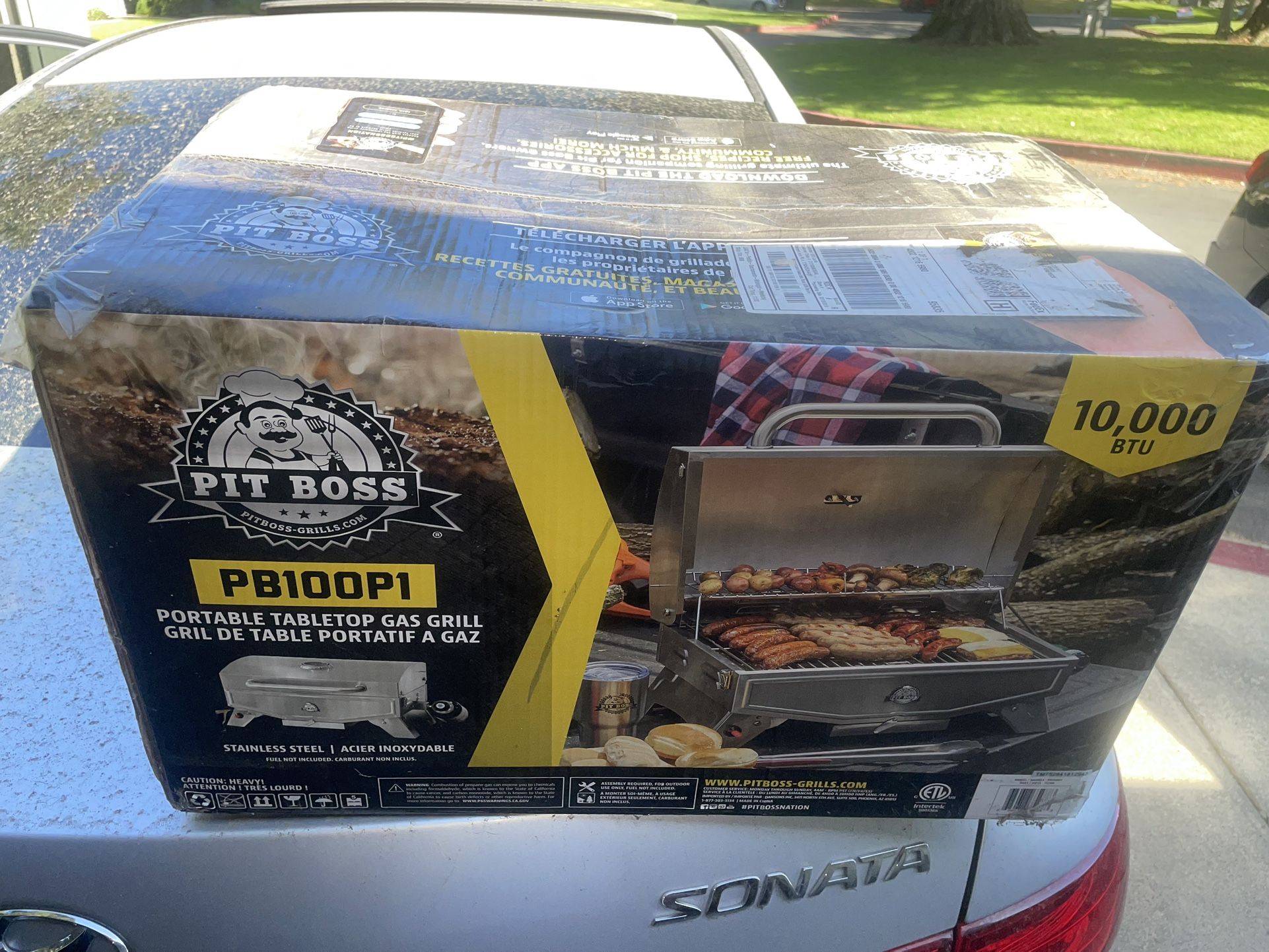 Portable Gas Grill