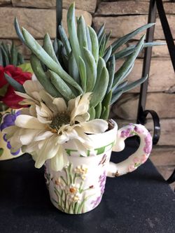 Real succulents flower decor