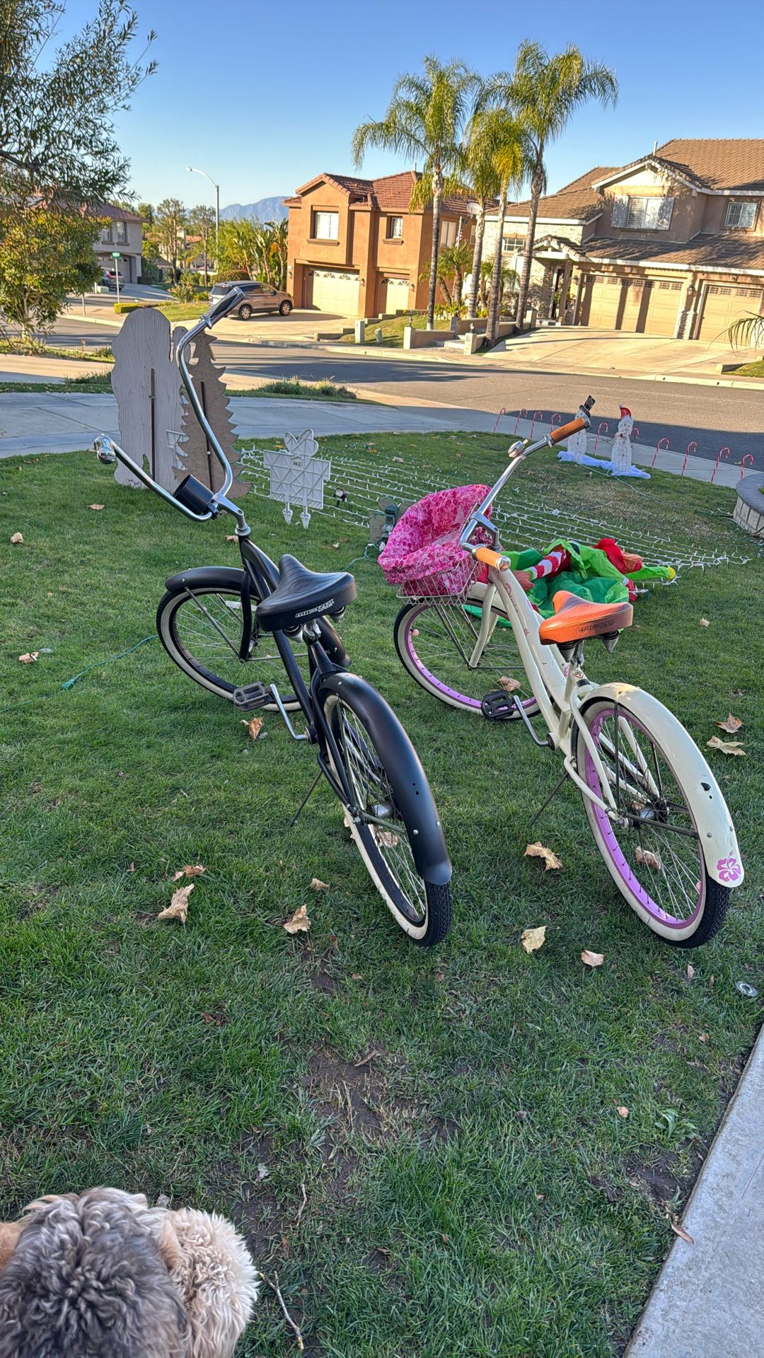 His & Hers Beach Cruisers