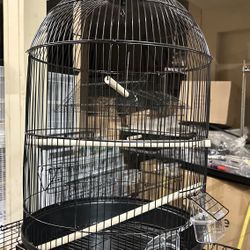 Around Parrots Bird Home Cage 