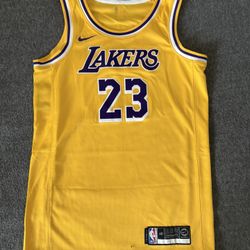 Brand New LeBron James Los Angeles Lakers Swingman Jersey