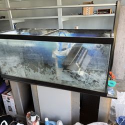 75 gallon fish tank!! 