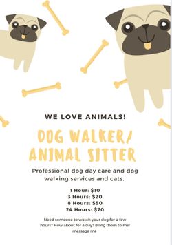 Animal Walker/sitter 