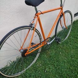 Single Speed Bike 