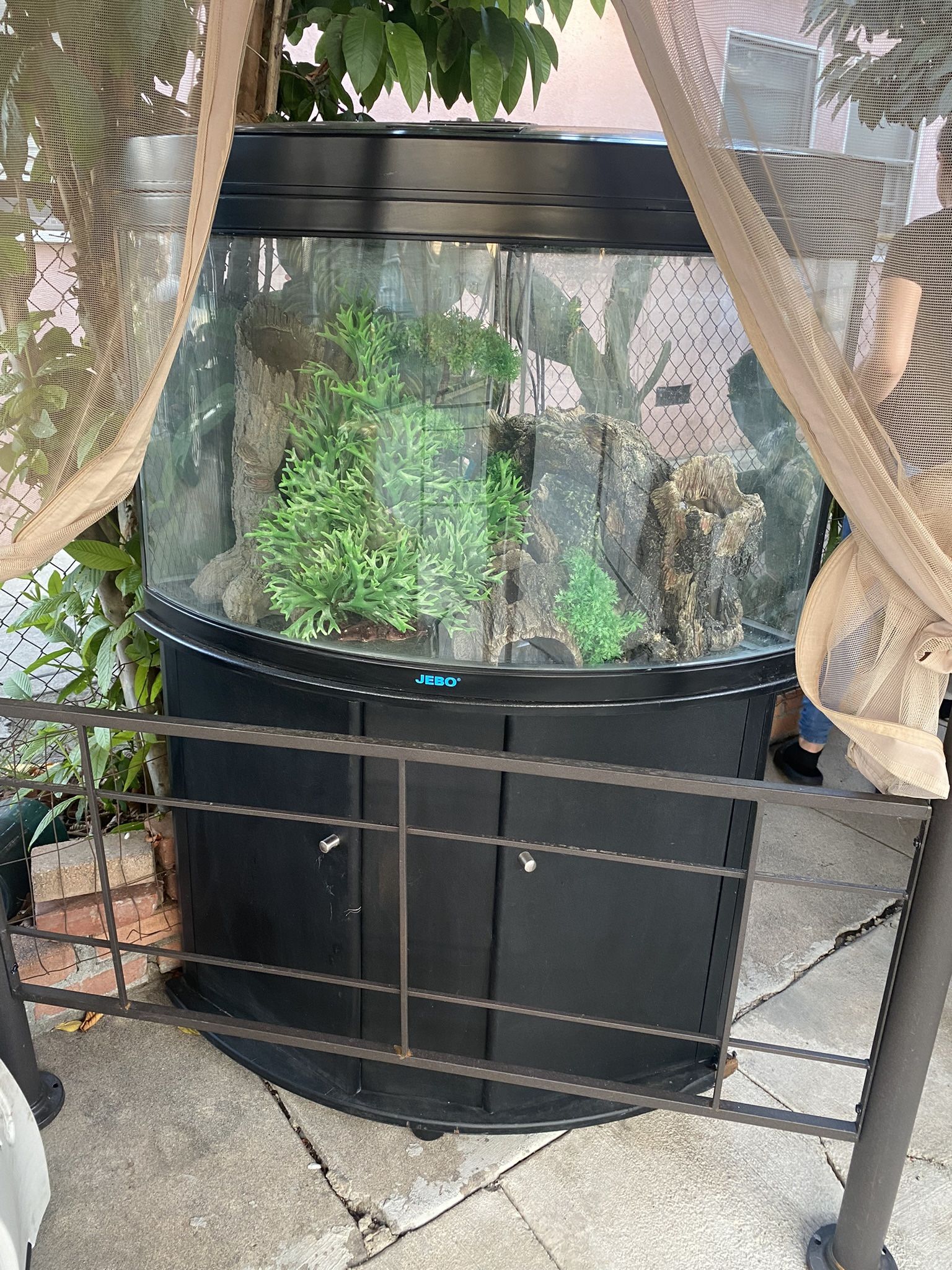 Corner Fish Tank With Stand And Rocks And Plants For $350