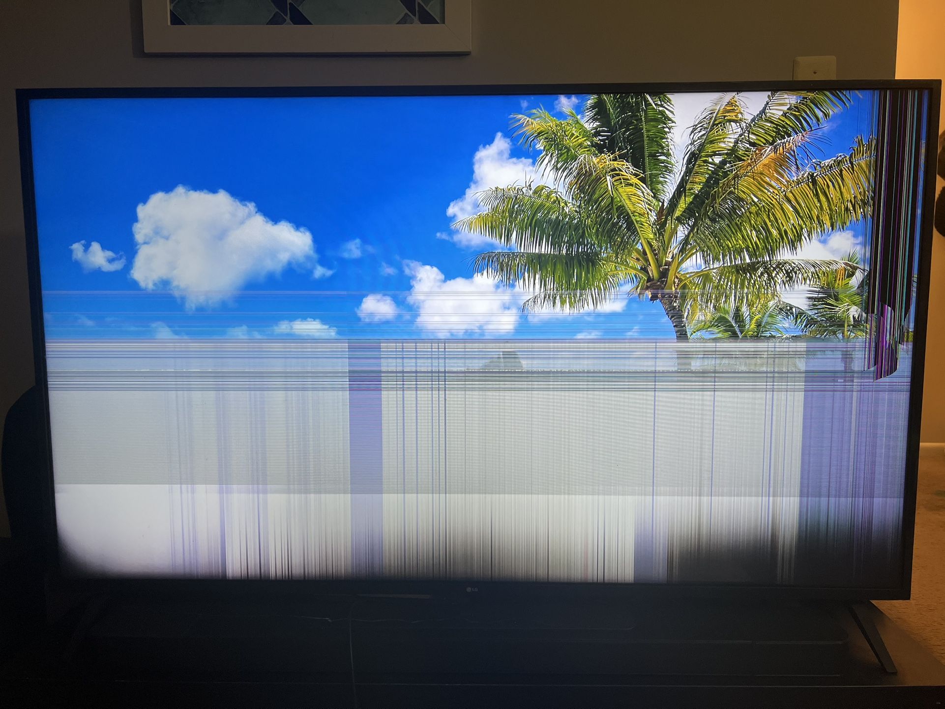 LG 65” Tv - 2019 Model - Screen Broken On One Side