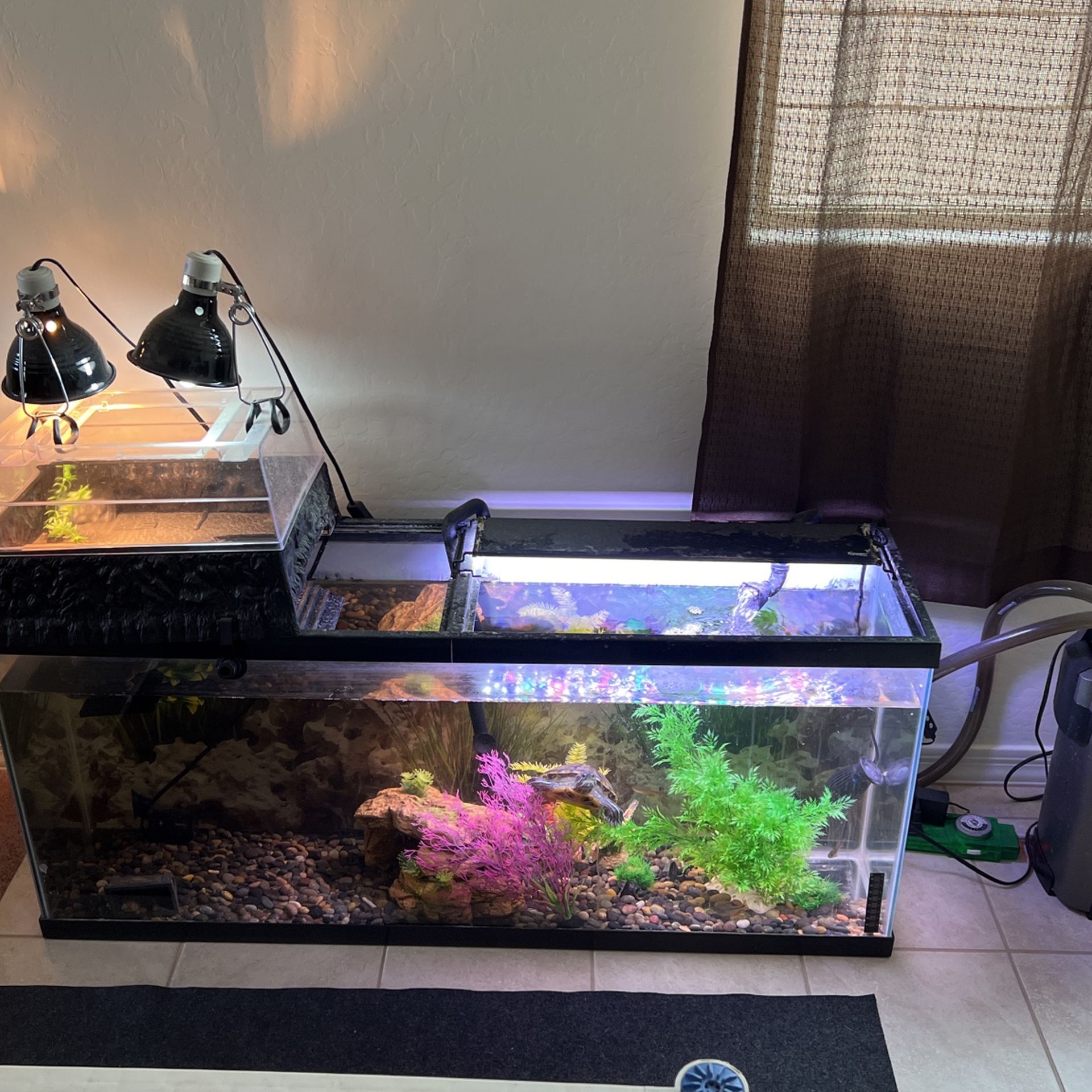 50 Gallon Tank And Filter