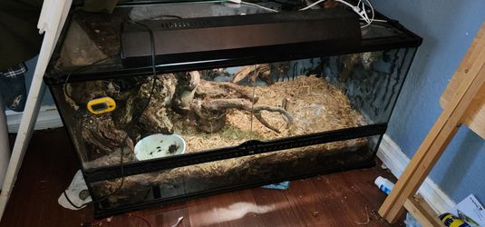 Exo terra terrarium large used for Bamboo Calico Mojave BP not free
