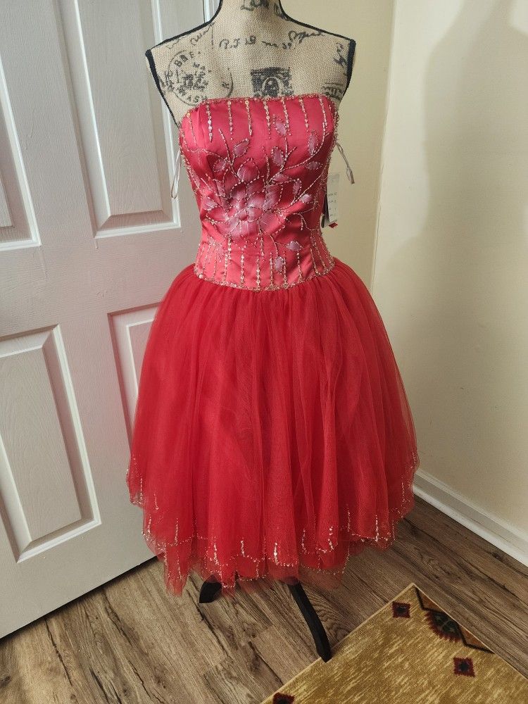 Party Dress 