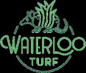 Starting $99/Month Artificial Turf Installation – Waterloo Turf | $0 Down Available